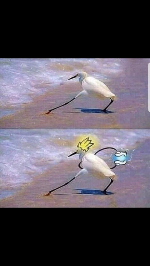 Hero