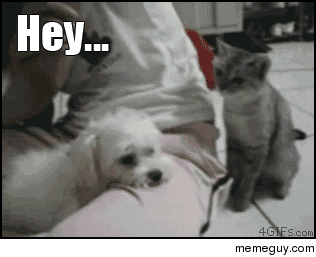 Hey