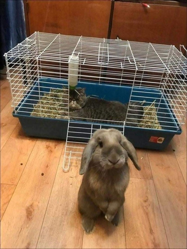 Hierarchy