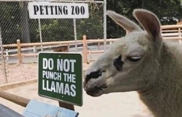 Hmmm