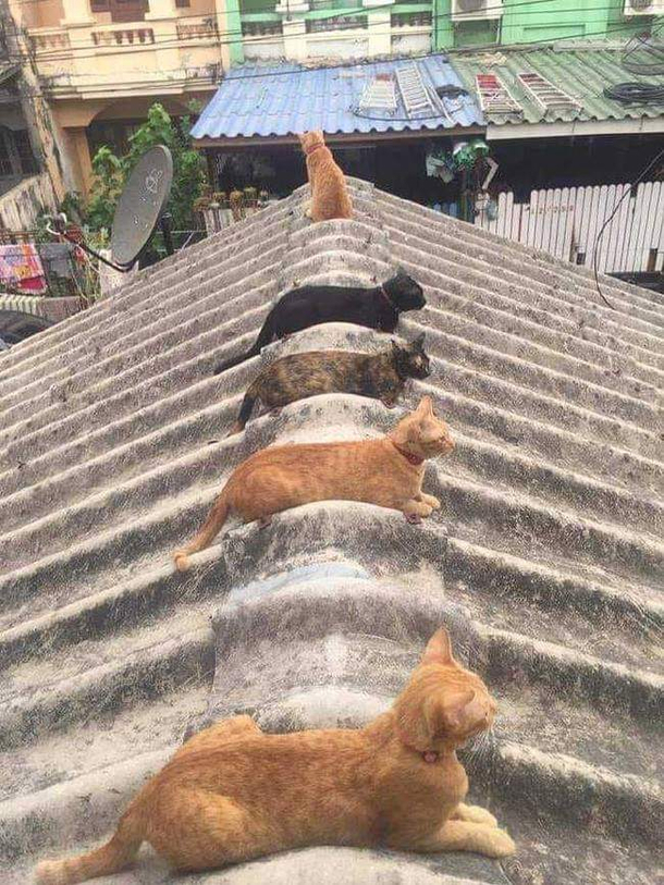 Hmmm