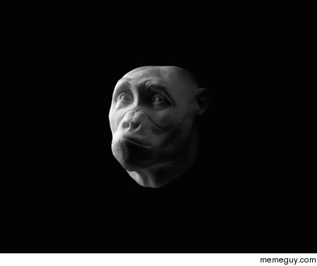 Homo