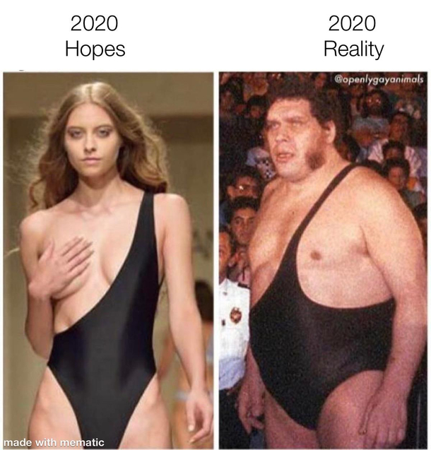  hopes vs reality