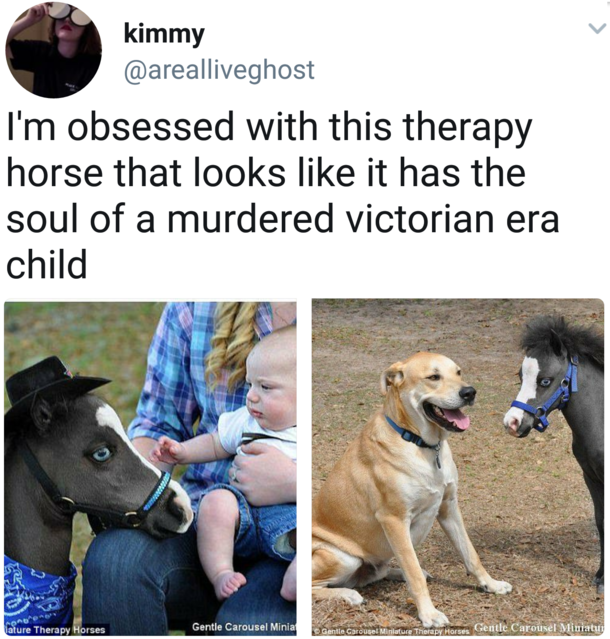 Horridorable