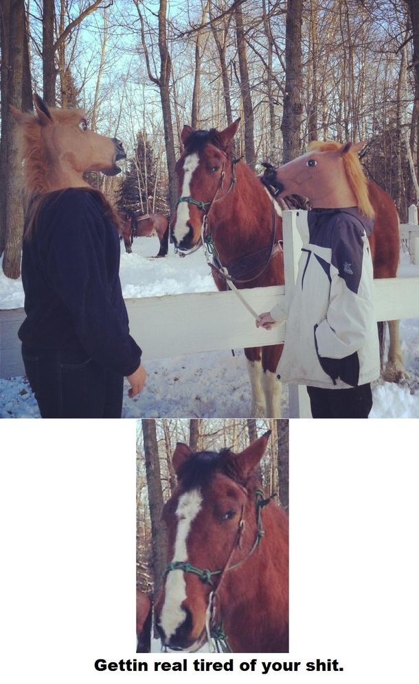 Horseplay