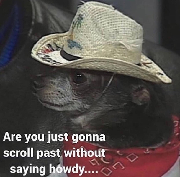 Howdy