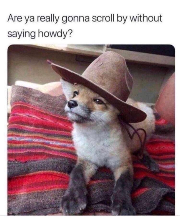 Howdy