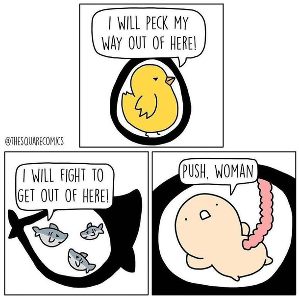 Humans