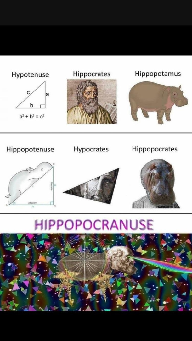 Hypocrates