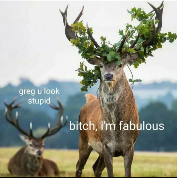 IAMGOD