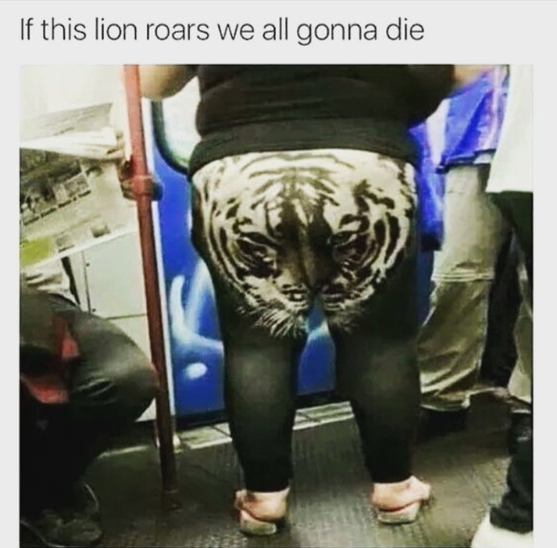  if this tiger roars someones gonna die