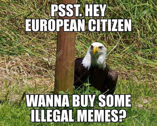 illegal