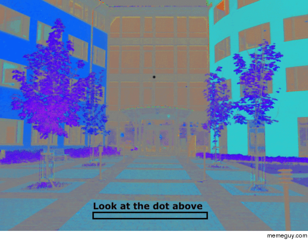 Illusion