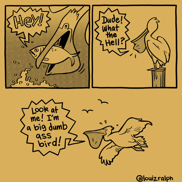  Im a big dumb ass bird