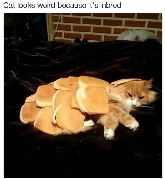 Inbread