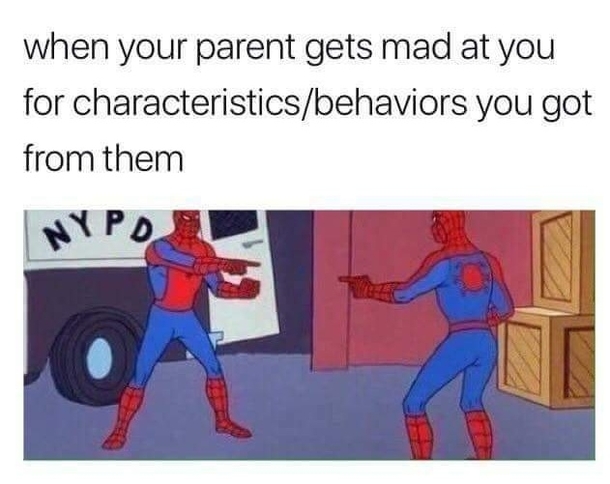 Inheritance - Meme Guy
