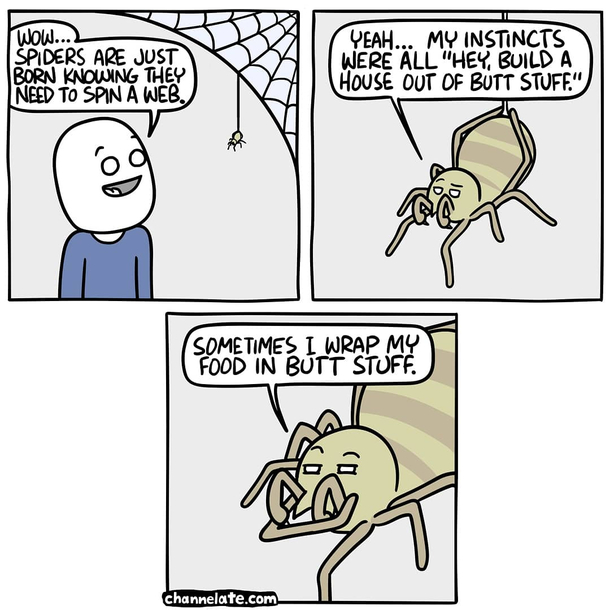 Instinct