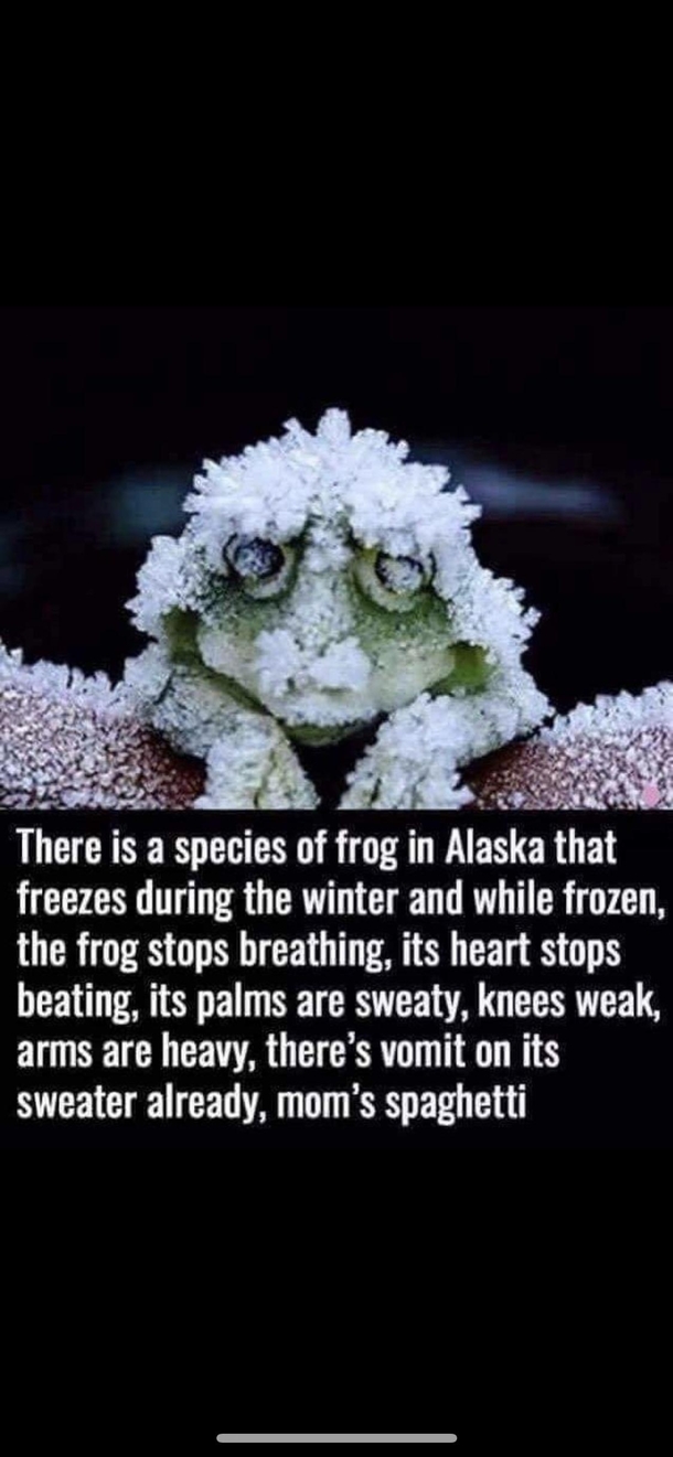 Interesting