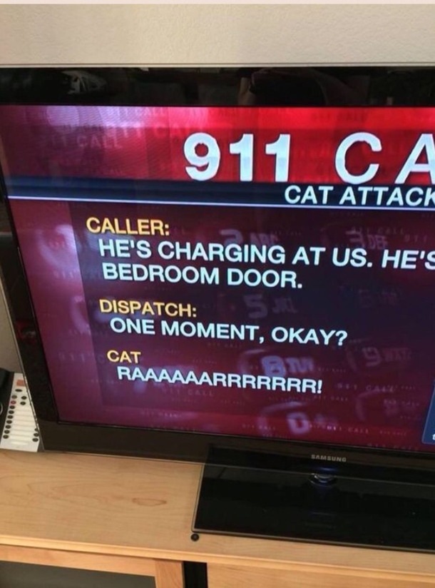 Intruder