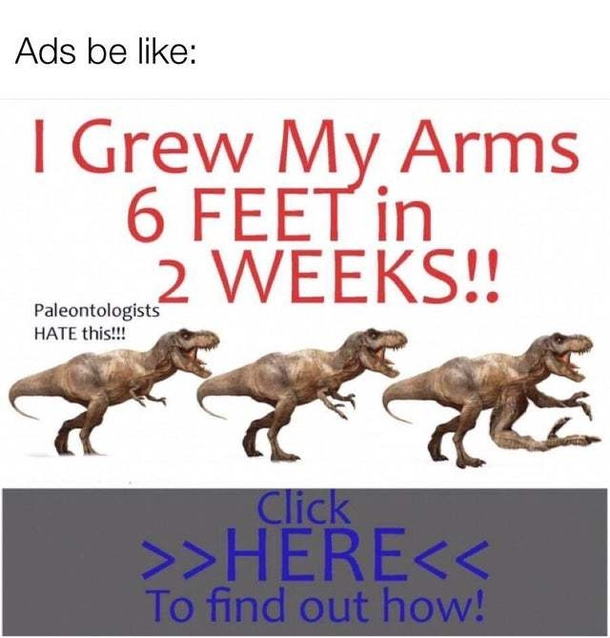 Invest
