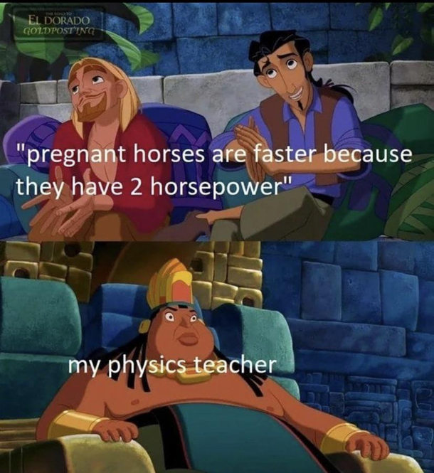  iq