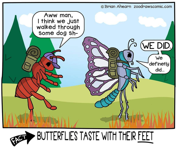  is a turd and we all have butterfly feet