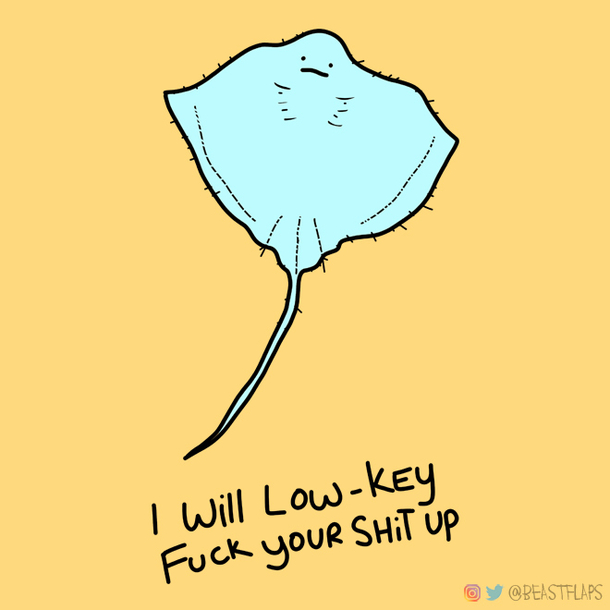  Ive been drawing a grumpy animal every day for  days and today was the first time I spat coffee through my nose while drawing