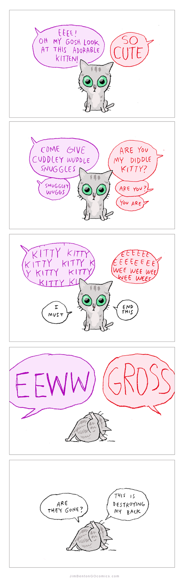 kitten