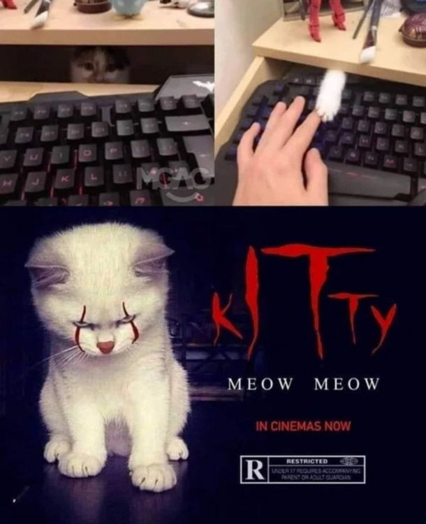 kITtty