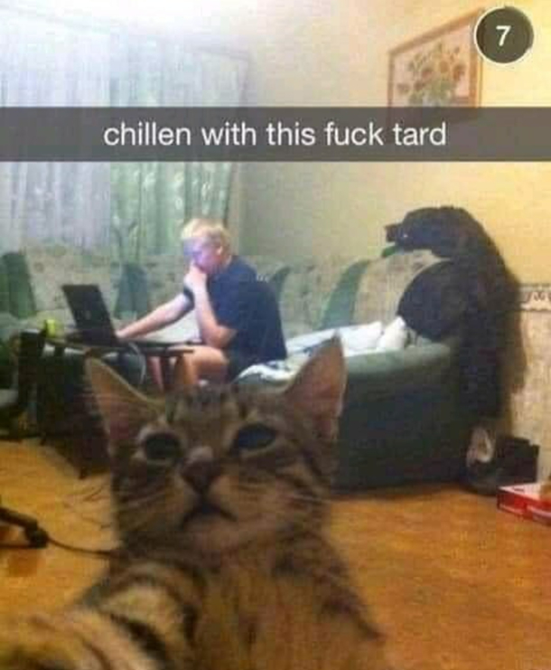 Kittychat