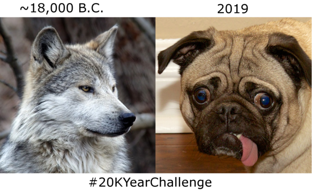 KYearChallenge