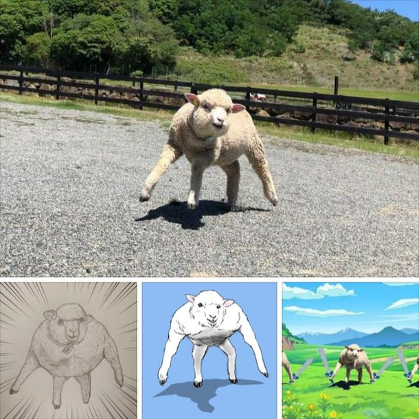 Lamb
