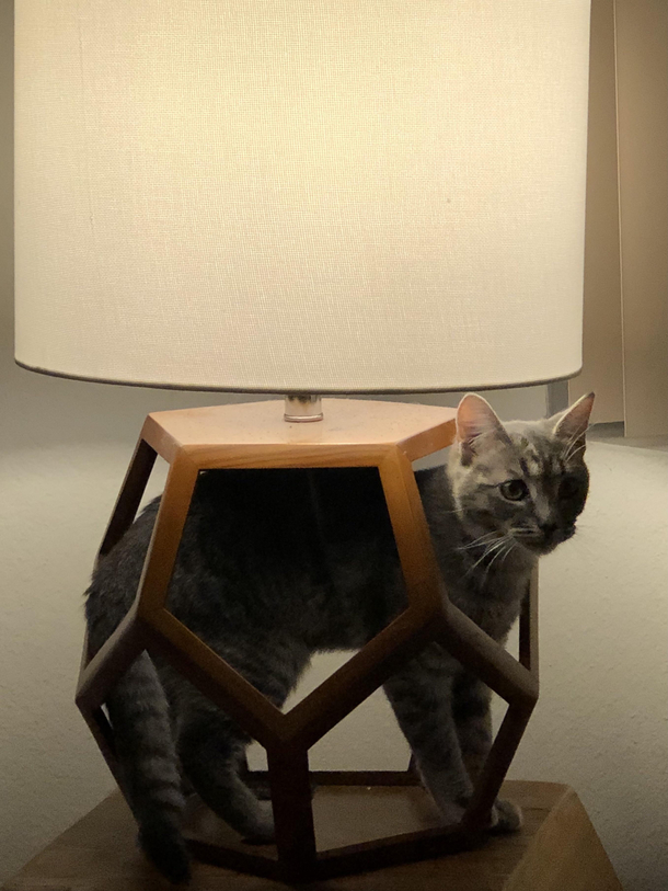 Lamp