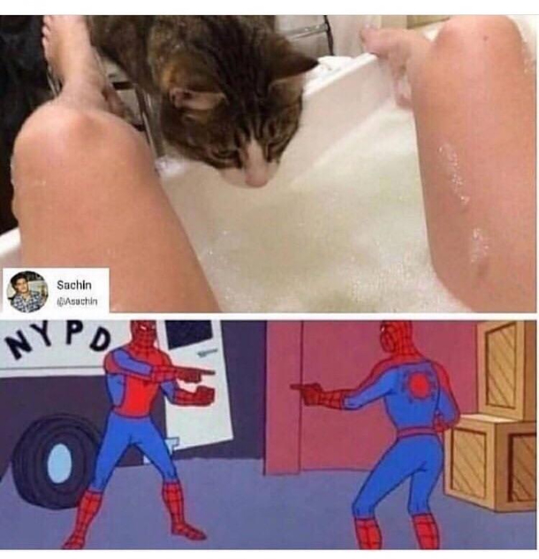Lasagna