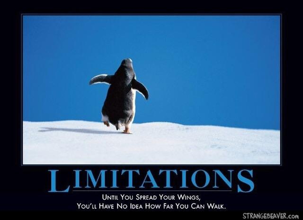 Limitations