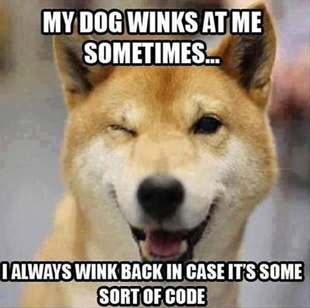 lmao