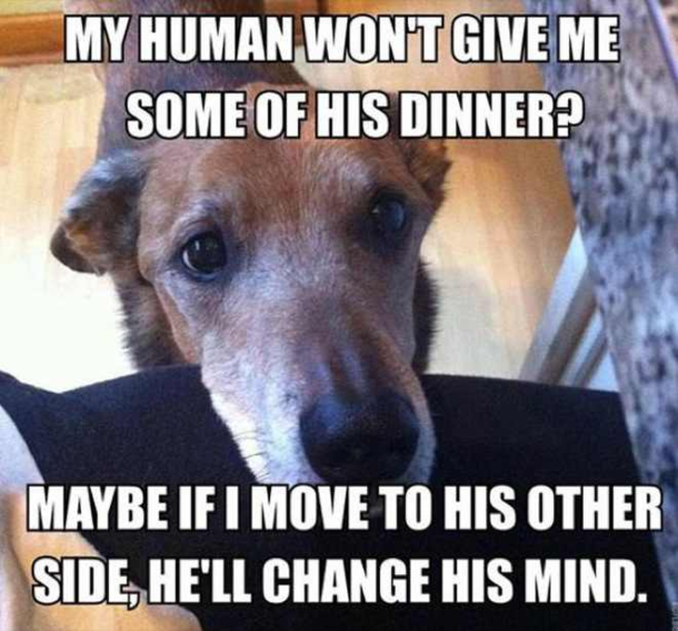 Logical