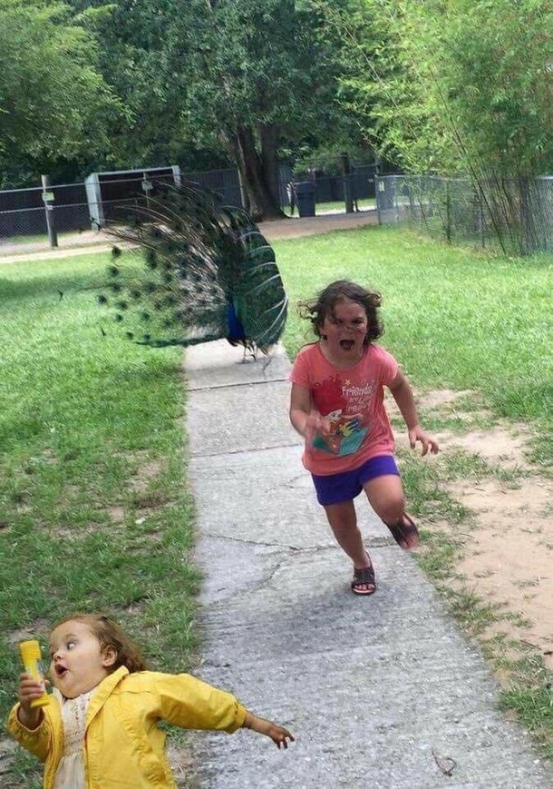 Lol