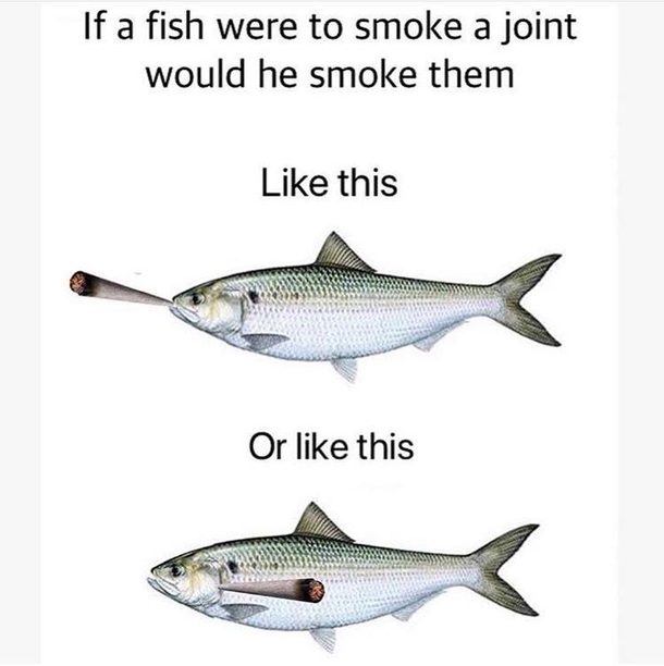 Lol