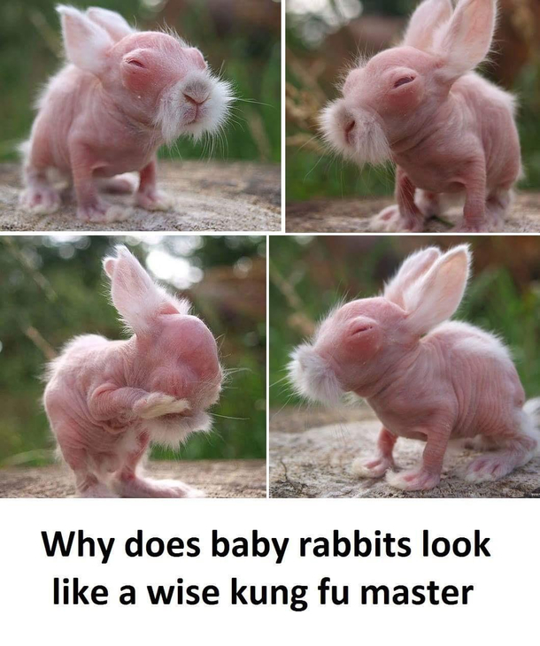 LOL
