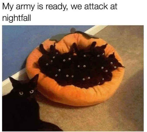 Lol