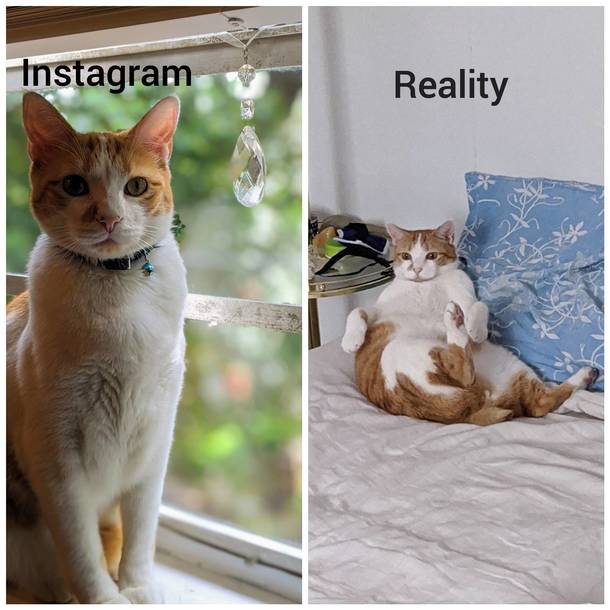 Lol