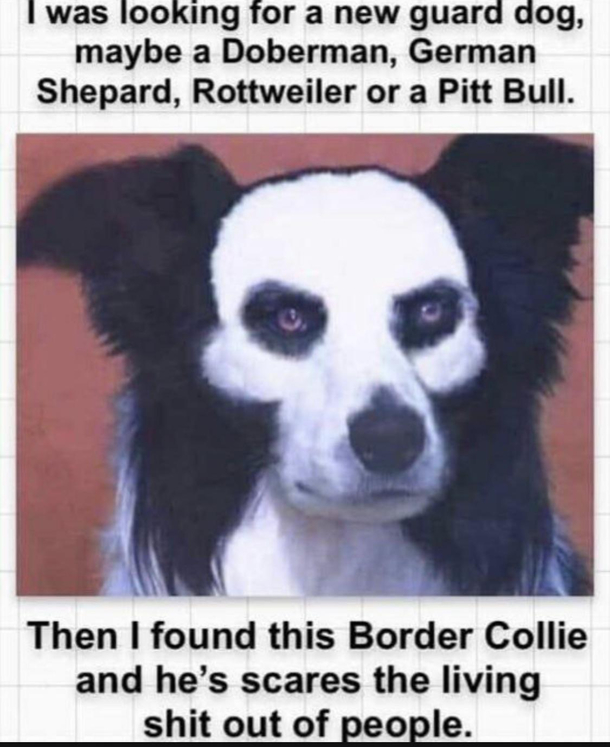 LOL