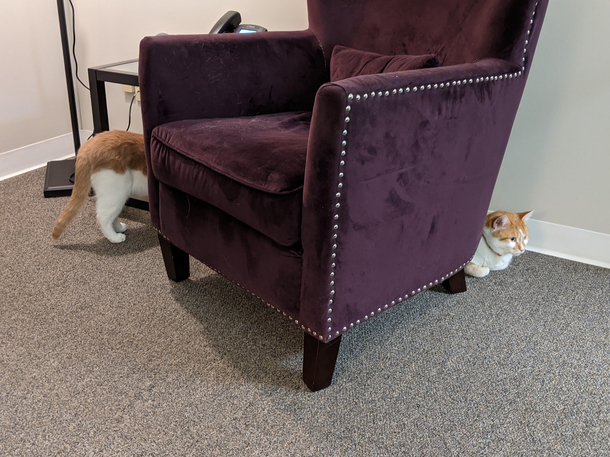 Longcat