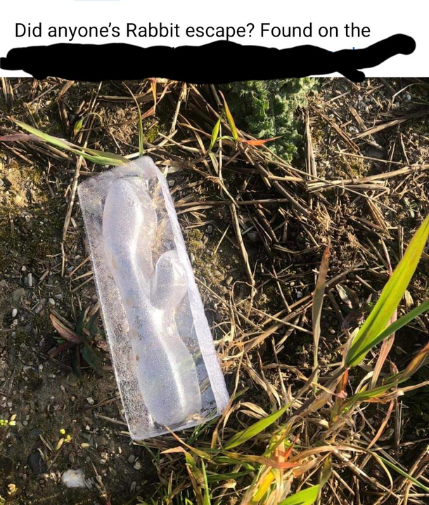 LostnFound