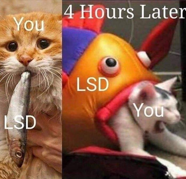 LSD