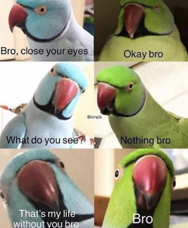 lt