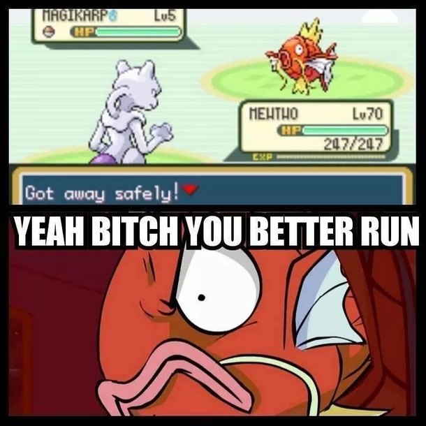 MagikarpBeast