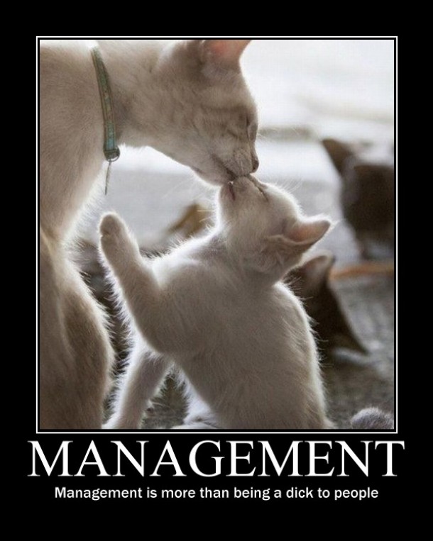 Management