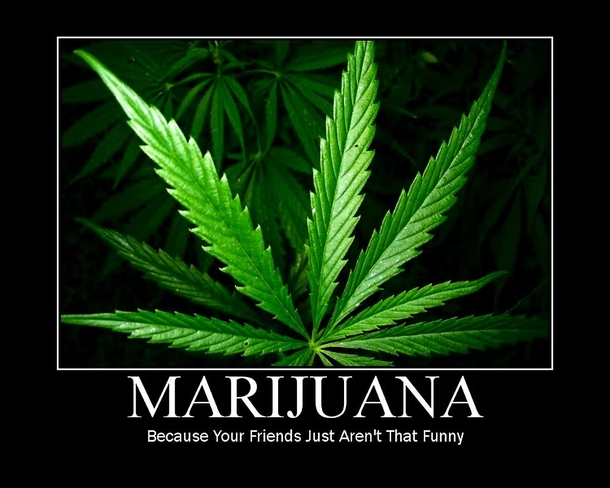 Marijuana
